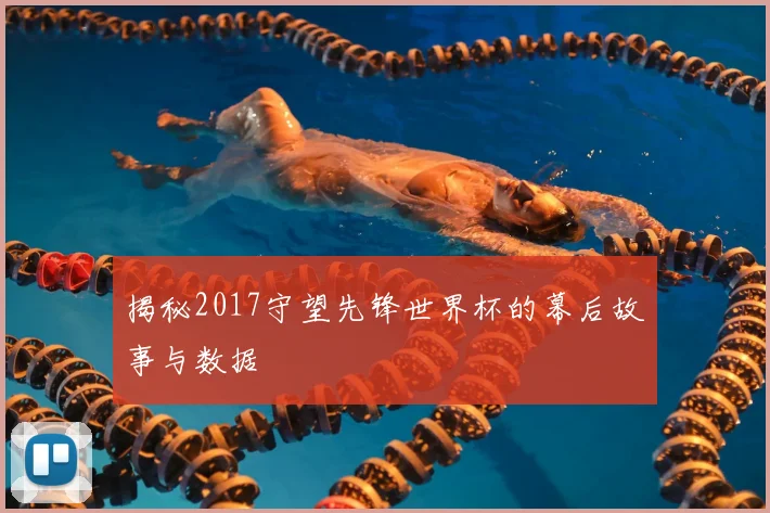 揭秘2017守望先锋世界杯的幕后故事与数据