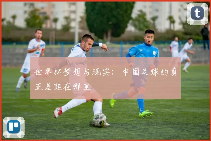 世界杯梦想与现实：中国足球的真正差距在哪里