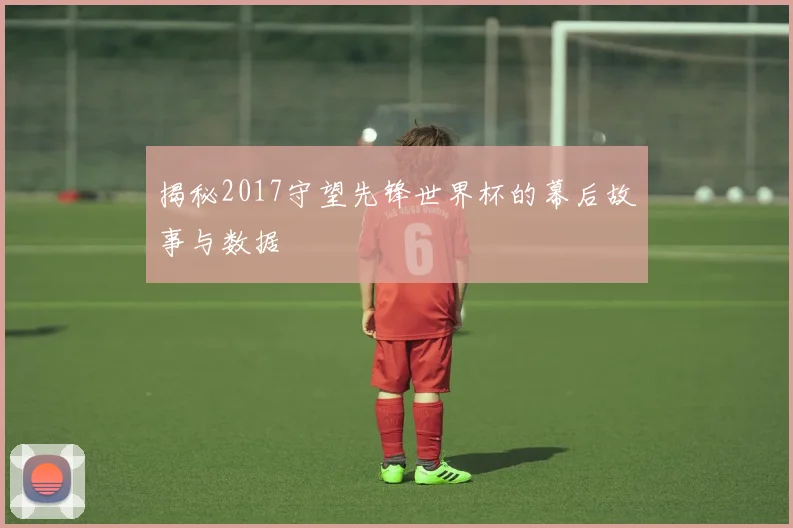 揭秘2017守望先锋世界杯的幕后故事与数据