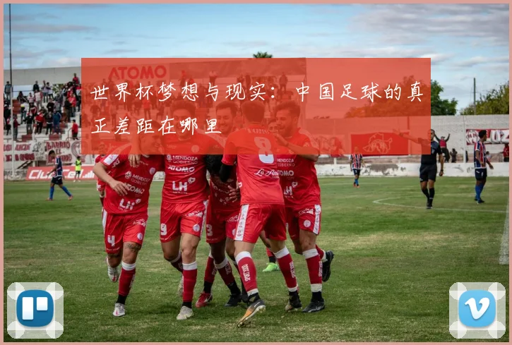 世界杯梦想与现实:中国足球的真正差距在哪里