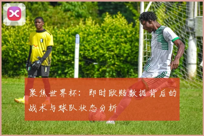 聚焦世界杯：即时欧赔数据背后的战术与球队状态分析