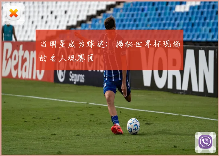 当明星成为球迷：揭秘世界杯现场的名人观赛团
