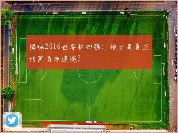 揭秘2016世界杯四强：谁才是真正的黑马与遗憾？