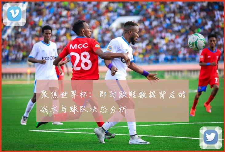 聚焦世界杯：即时欧赔数据背后的战术与球队状态分析